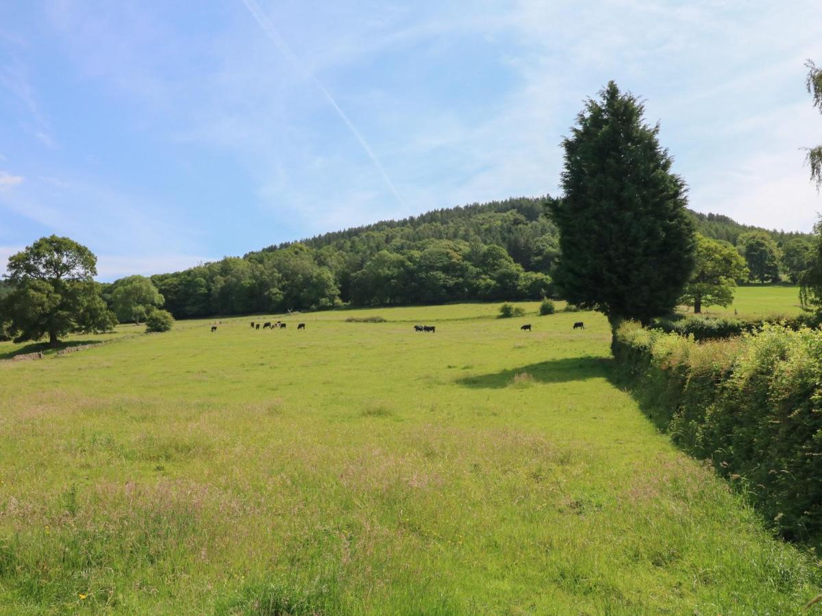 Lees Moor Cottage Matlock  Exteriör bild